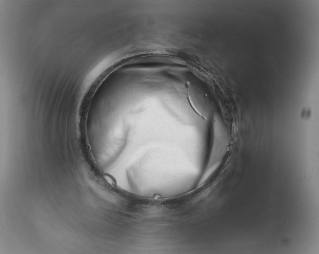 X0000113200246200909241406