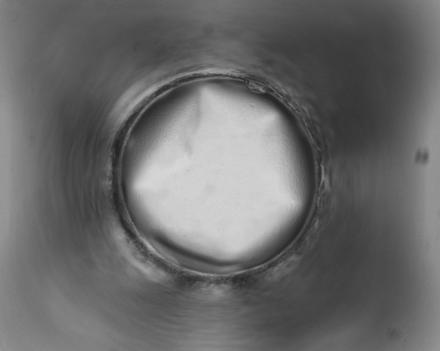 X0000113200247200909241406