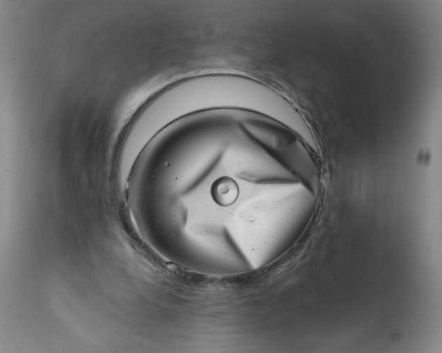 X0000113200248200909241406