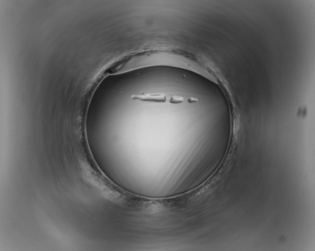 X0000113200249200909241406