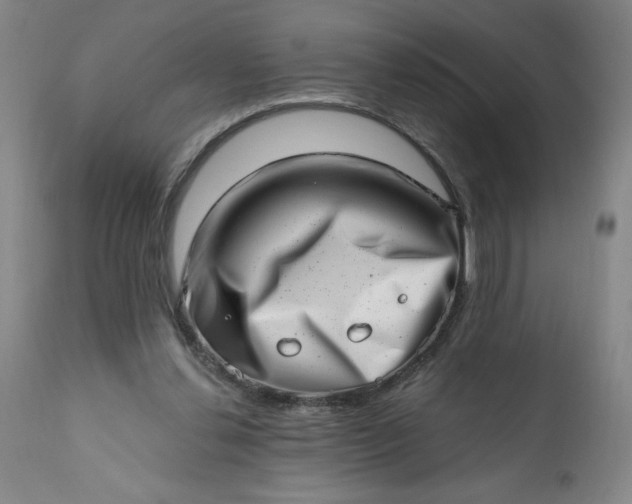 X0000113200252200909241406