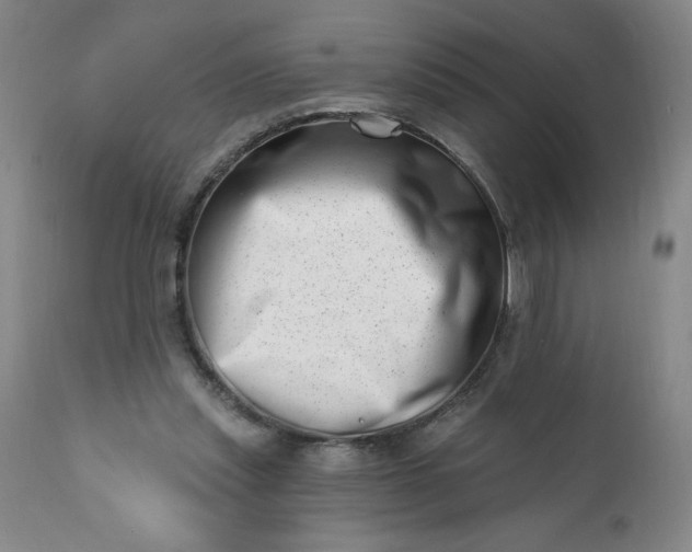 X0000113200253200909241406