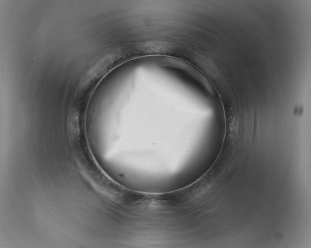 X0000113200254200909241406