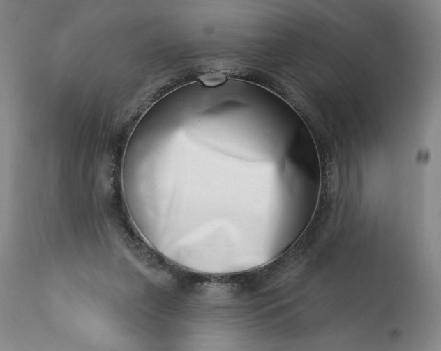 X0000113200255200909241406