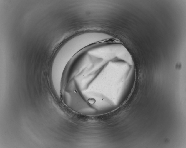 X0000113200256200909241406