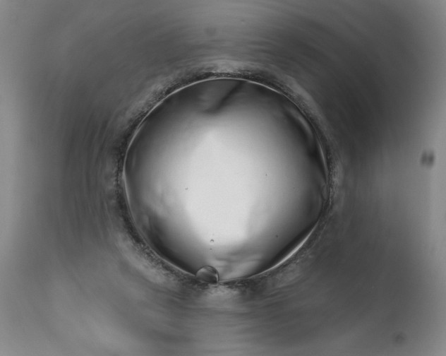 X0000113200257200909241406