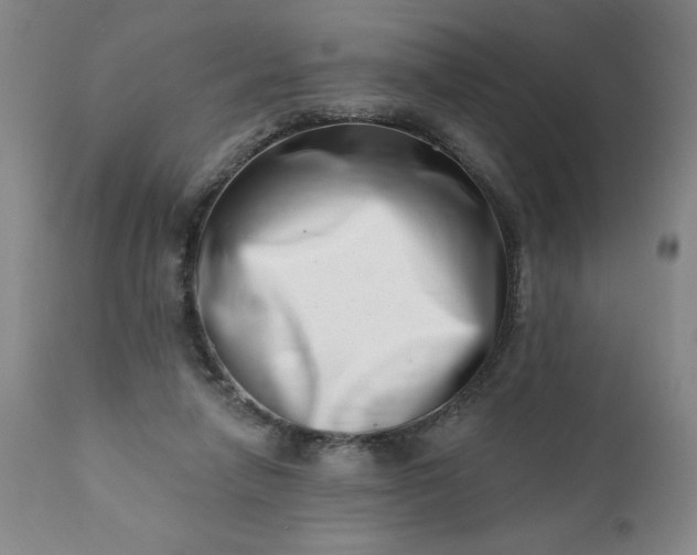 X0000113200258200909241406