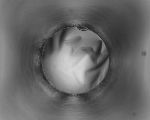 X0000113200259200909241406