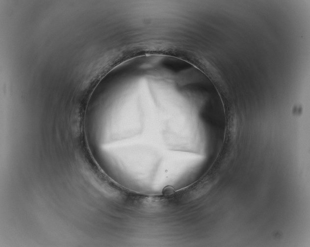 X0000113200261200909241406