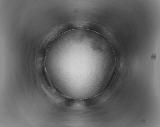 X0000113200263200909241406