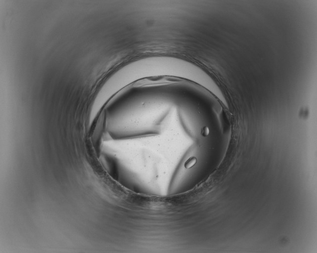 X0000113200264200909241406