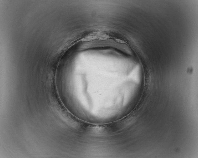 X0000113200265200909241406