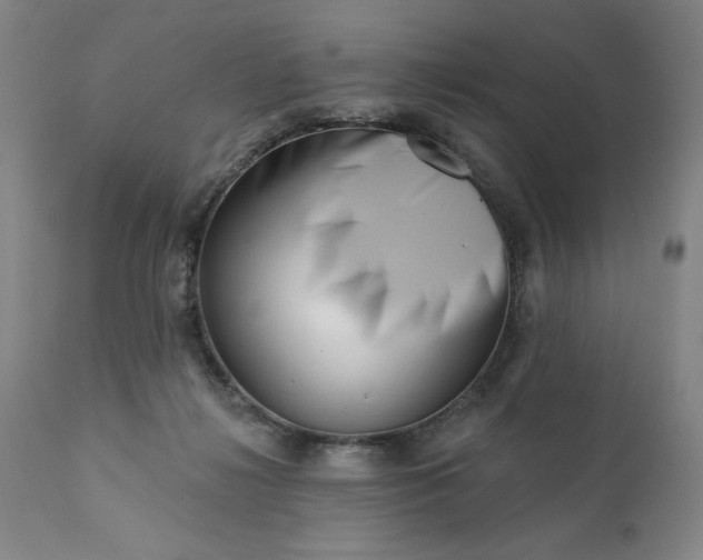 X0000113200268200909241406