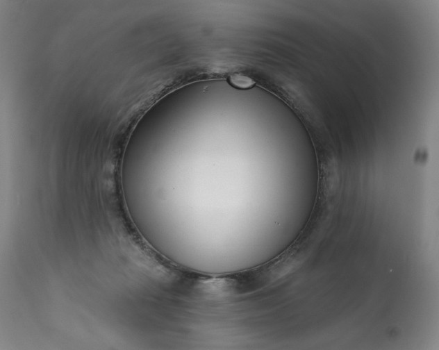 X0000113200269200909241406