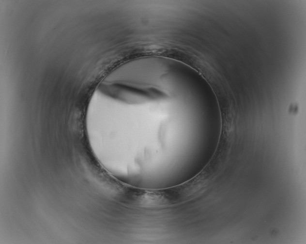 X0000113200270200909241406