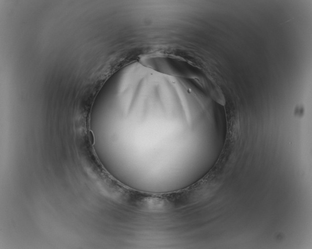 X0000113200272200909241406