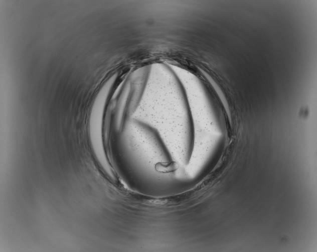 X0000113200273200909241406