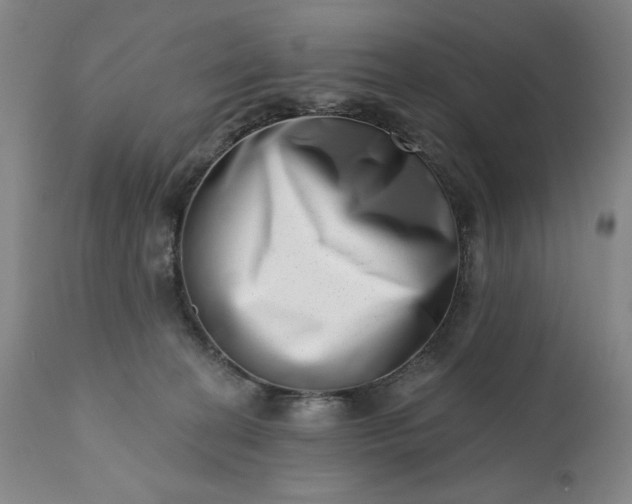 X0000113200274200909241406