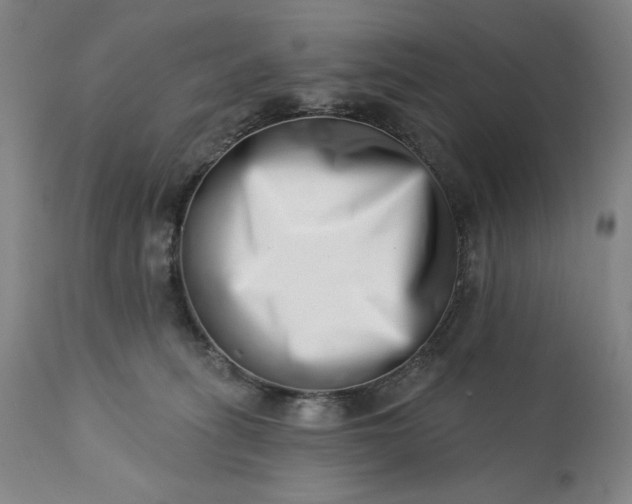 X0000113200275200909241406