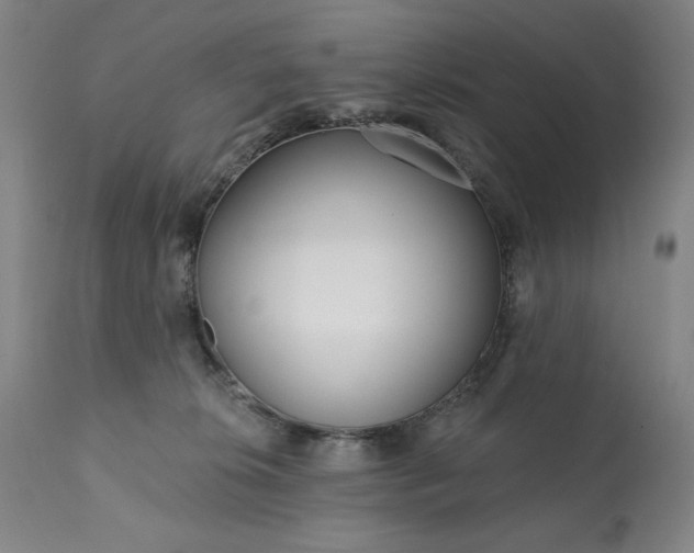 X0000113200276200909241406