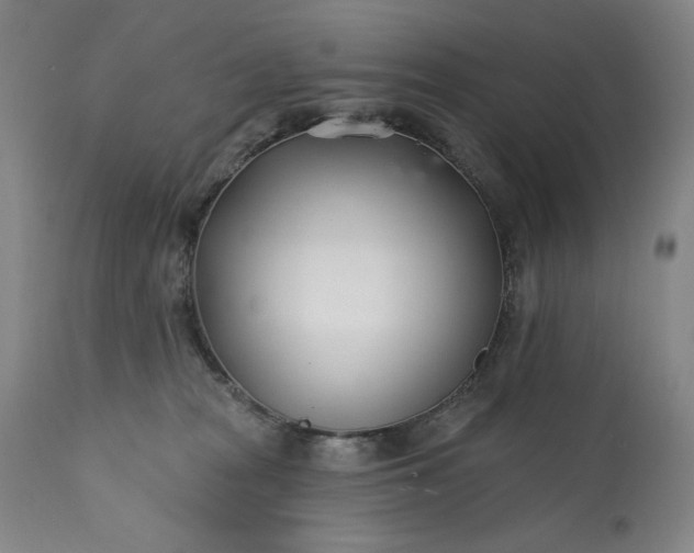 X0000113200277200909241406