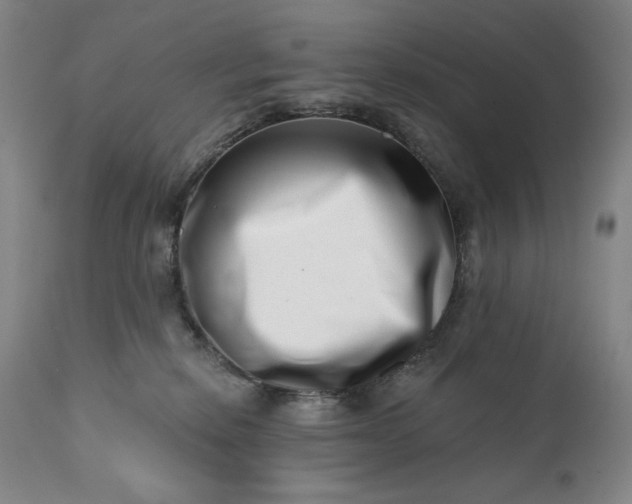 X0000113200278200909241406