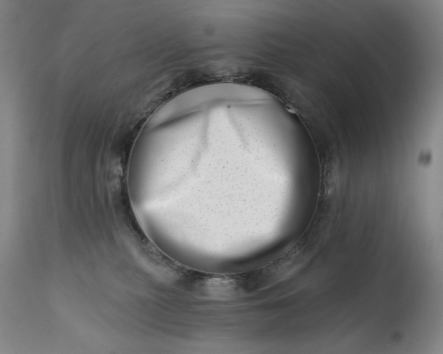 X0000113200279200909241406