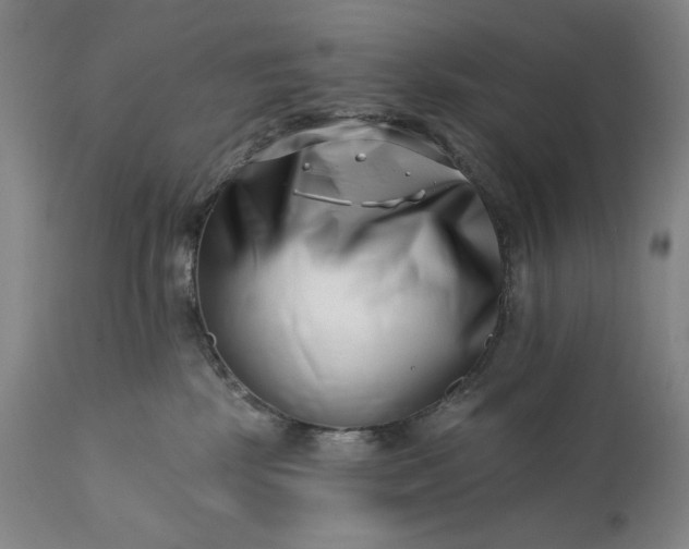 X0000113200281200909241406