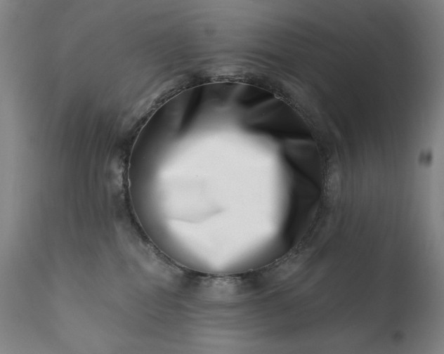 X0000113200282200909241406