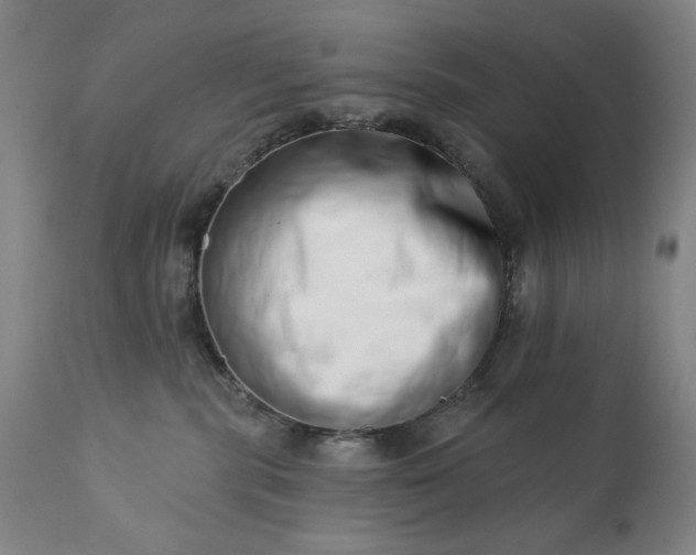 X0000113200283200909241406