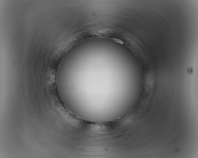 X0000113200284200909241406