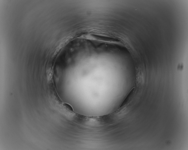 X0000113200285200909241406