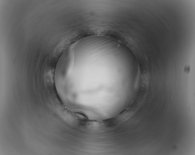 X0000113200286200909241406