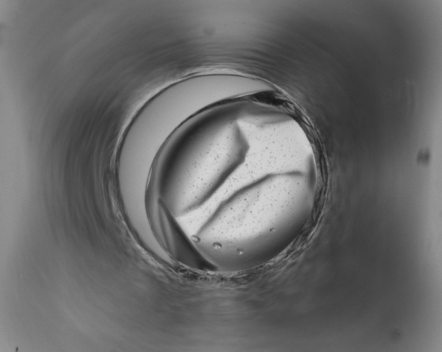 X0000113200289200909241406