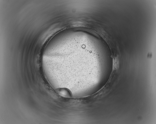 X0000113200291200909241406