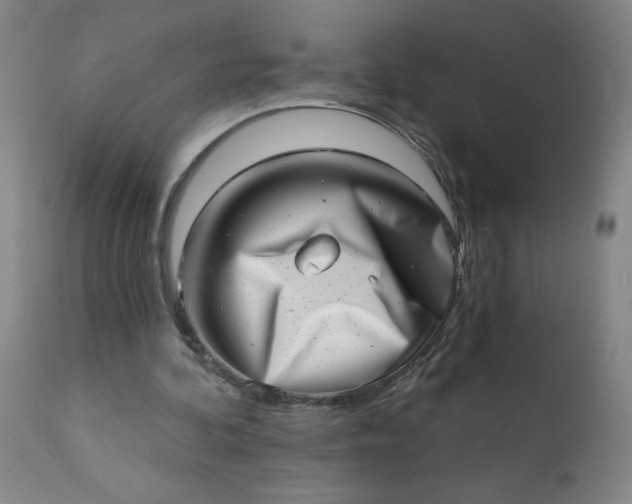 X0000113200292200909241406