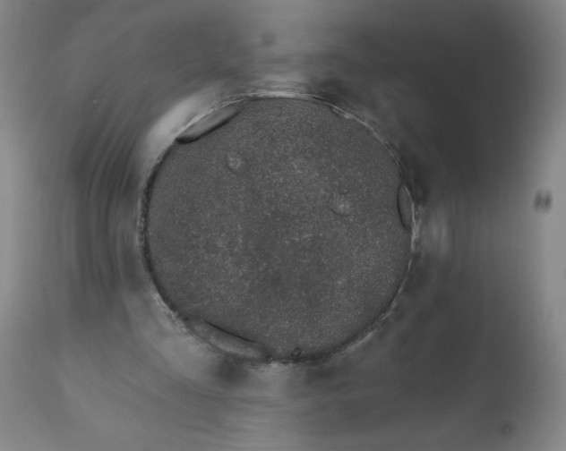 X0000113200293200909241406