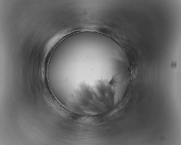 X0000113200294200909241406