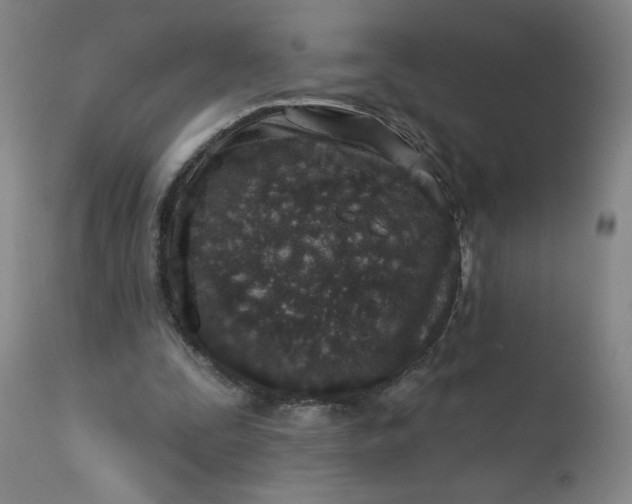 X0000113200295200909241406