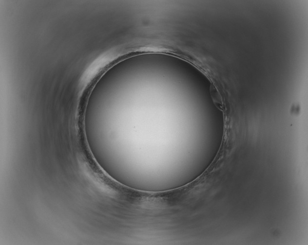 X0000113200296200909241406