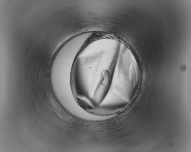 X0000113200297200909241405