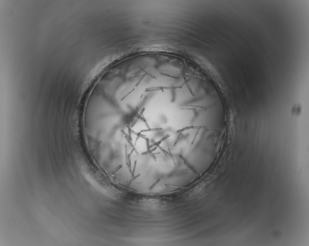 X0000113200298200909241405