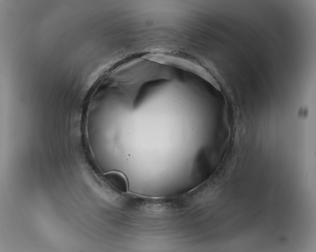 X0000113200299200909241405