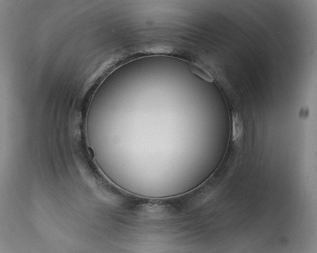 X0000113200300200909241405