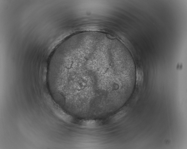 X0000113200301200909241405