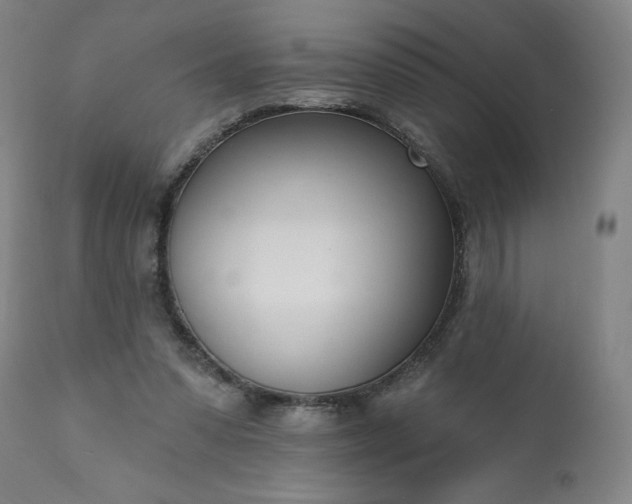 X0000113200303200909241405