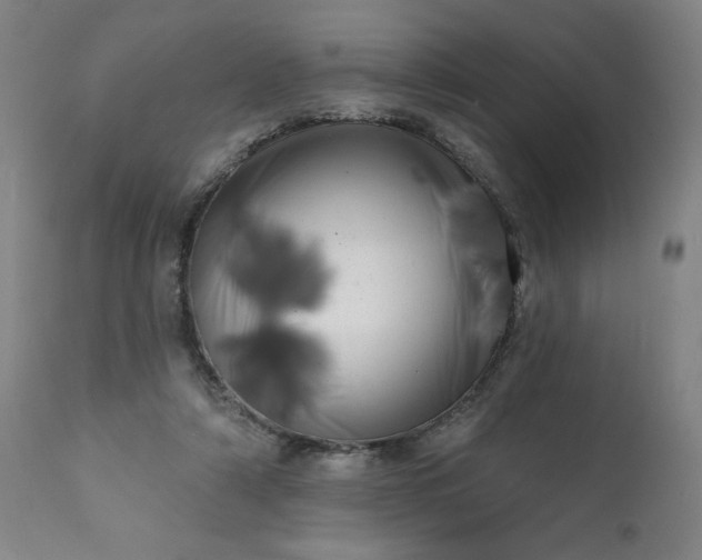 X0000113200306200909241405