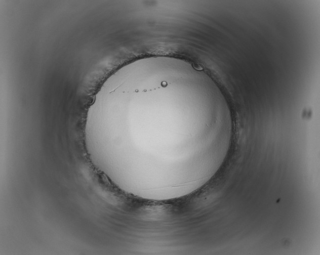 X0000113200307200909241405