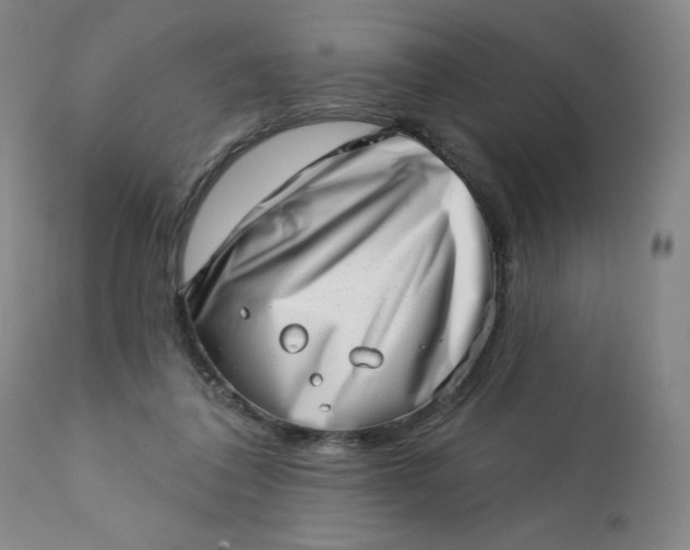 X0000113200308200909241405