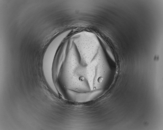 X0000113200309200909241405